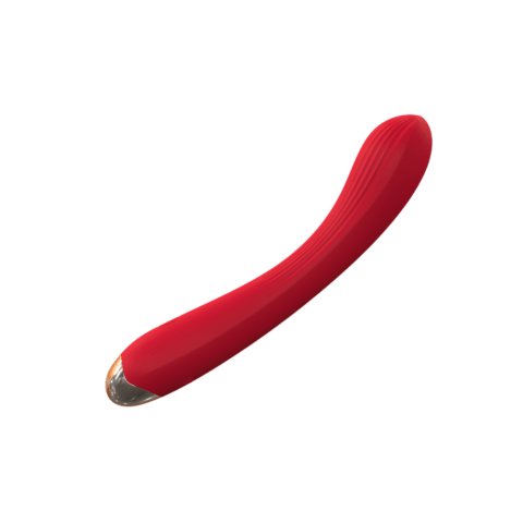 Women's Rechargeable Vibrator Sex Toys SRi Lanka